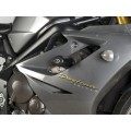 R&G Racing Aero no-cut Frame Sliders (standard road version) for Triumph 675 Daytona '06-'12 R&G Racing Aero no-cut Frame Sliders (standard road version) for Triumph 675 Daytona '06-'12
